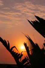 A vibrant tropical sunset behind a newly renovated Jamaican home with lush greenery.