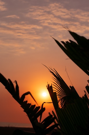 A vibrant tropical sunset behind a newly renovated Jamaican home with lush greenery.