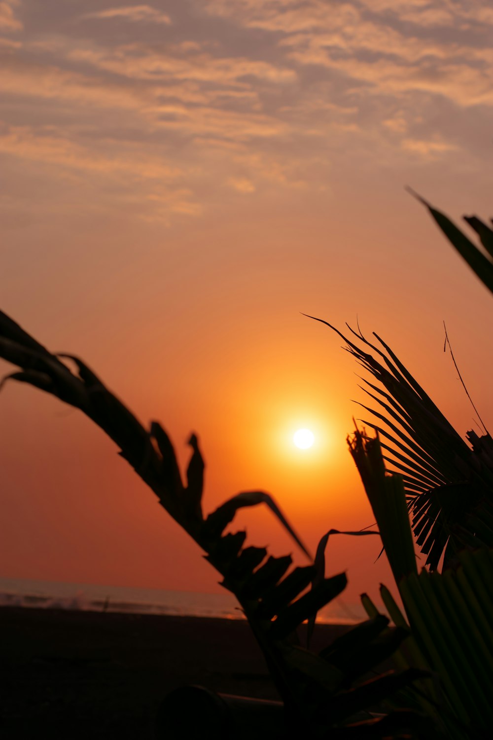 Le soleil se couche sur une plage avec des palmiers