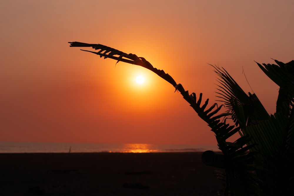 the sun is setting over a beach with palm trees