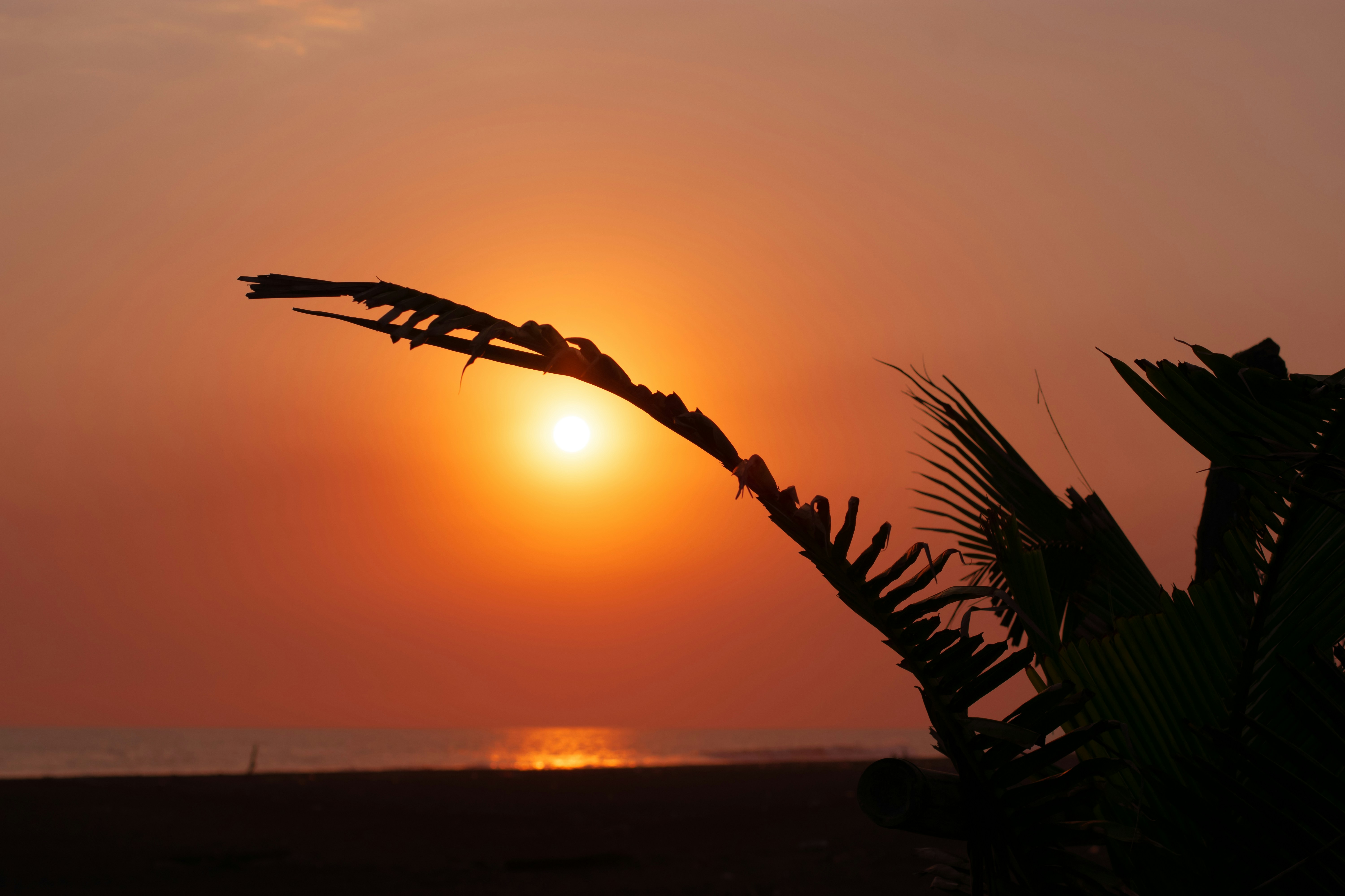 Photo by ferjeancarlo