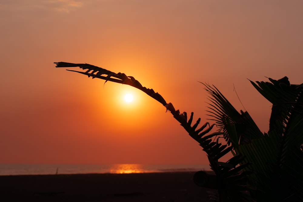 the sun is setting over a beach with palm trees
