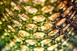 Close-up view of a textured surface resembling a honeycomb pattern, featuring translucent cells with a reflective, metallic sheen. The cells appear to be made of plastic or glass, capturing light in shades of green and gold, creating an intricate play of light and shadow.
