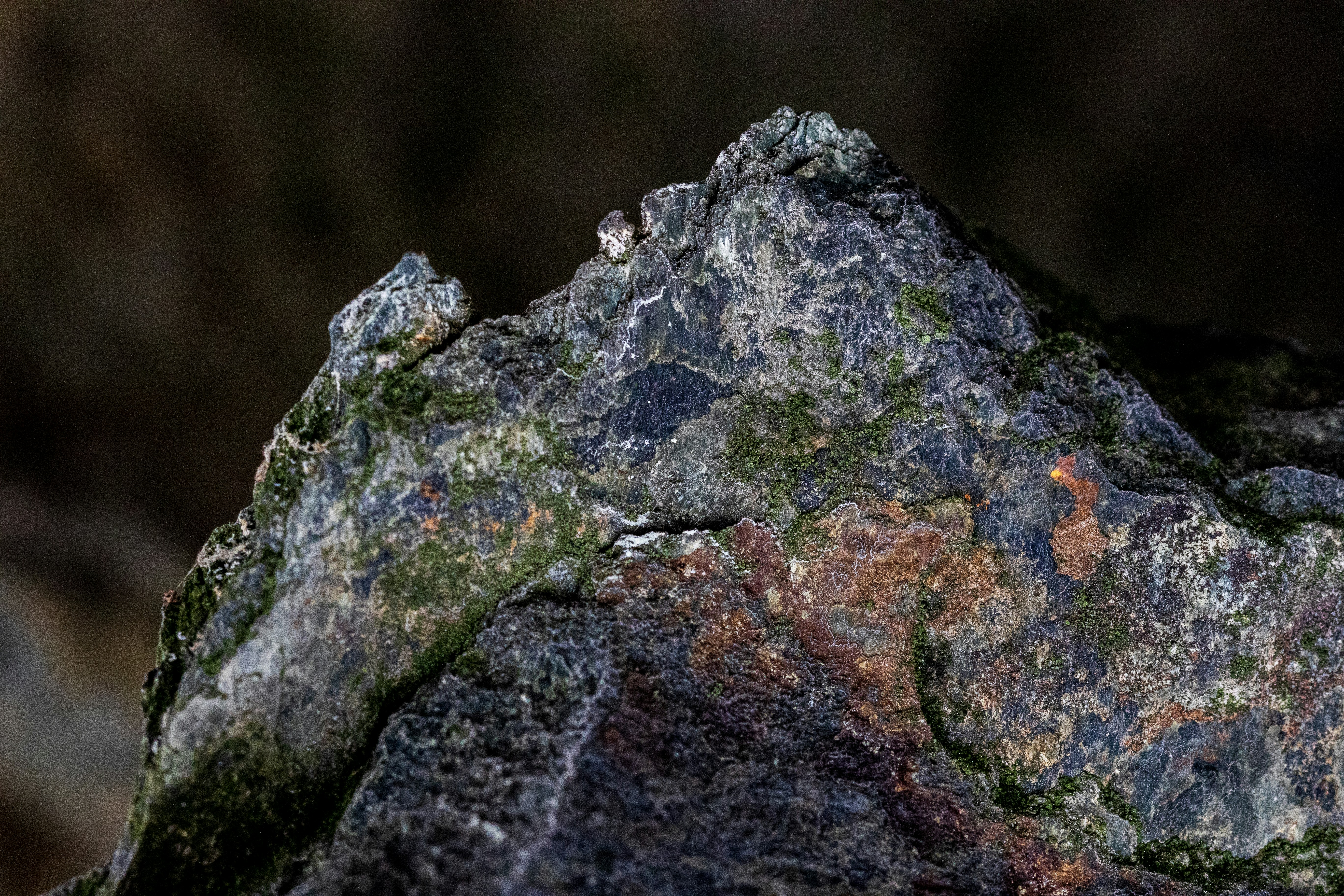 Photo by camerauthor