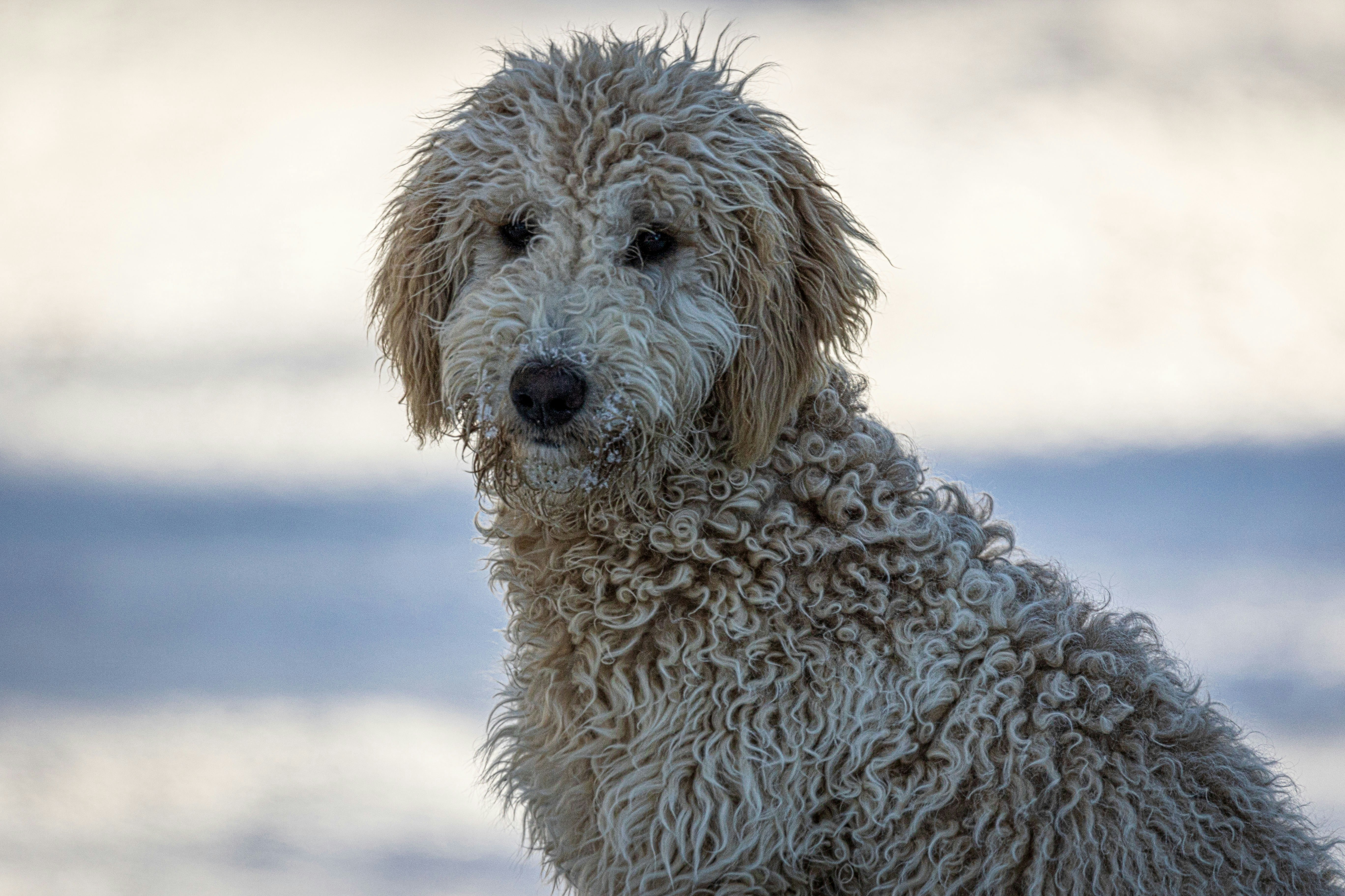 Photo by camerauthor