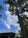 A tall tree with dense green foliage stands against a bright blue sky scattered with white clouds. In the foreground, a modern building with a curved roof is partially visible. The presence of a security camera mounted on the tree trunk can also be seen.