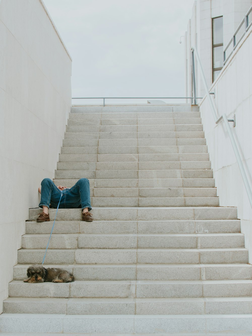 a person laying on the steps with a dog on a leash