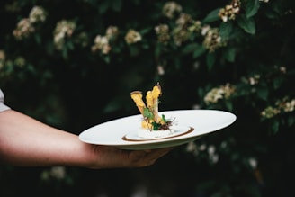 A person holds a white plate with a gourmet dish, featuring artistic presentation. The dish includes elements like herbs, croutons, and an intricate garnish, surrounded by a blurred natural background of green leaves and small flowers.