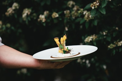 A person holds a white plate with a gourmet dish, featuring artistic presentation. The dish includes elements like herbs, croutons, and an intricate garnish, surrounded by a blurred natural background of green leaves and small flowers.