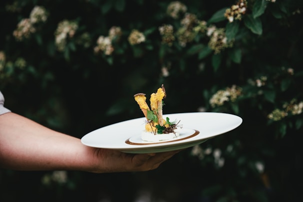 A person holds a white plate with a gourmet dish, featuring artistic presentation. The dish includes elements like herbs, croutons, and an intricate garnish, surrounded by a blurred natural background of green leaves and small flowers.