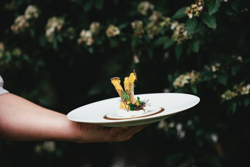 Close-up of a gourmet dish artfully plated on a white ceramic plate.