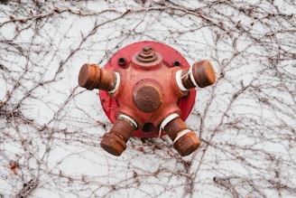 A rusted red metal fire hose connection is mounted on a white wall overgrown with dry, leafless vines. The connection has multiple outlets, each capped, and is covered in rust, giving it a weathered appearance.