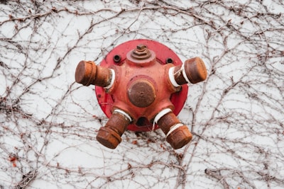 A rusted red metal fire hose connection is mounted on a white wall overgrown with dry, leafless vines. The connection has multiple outlets, each capped, and is covered in rust, giving it a weathered appearance.