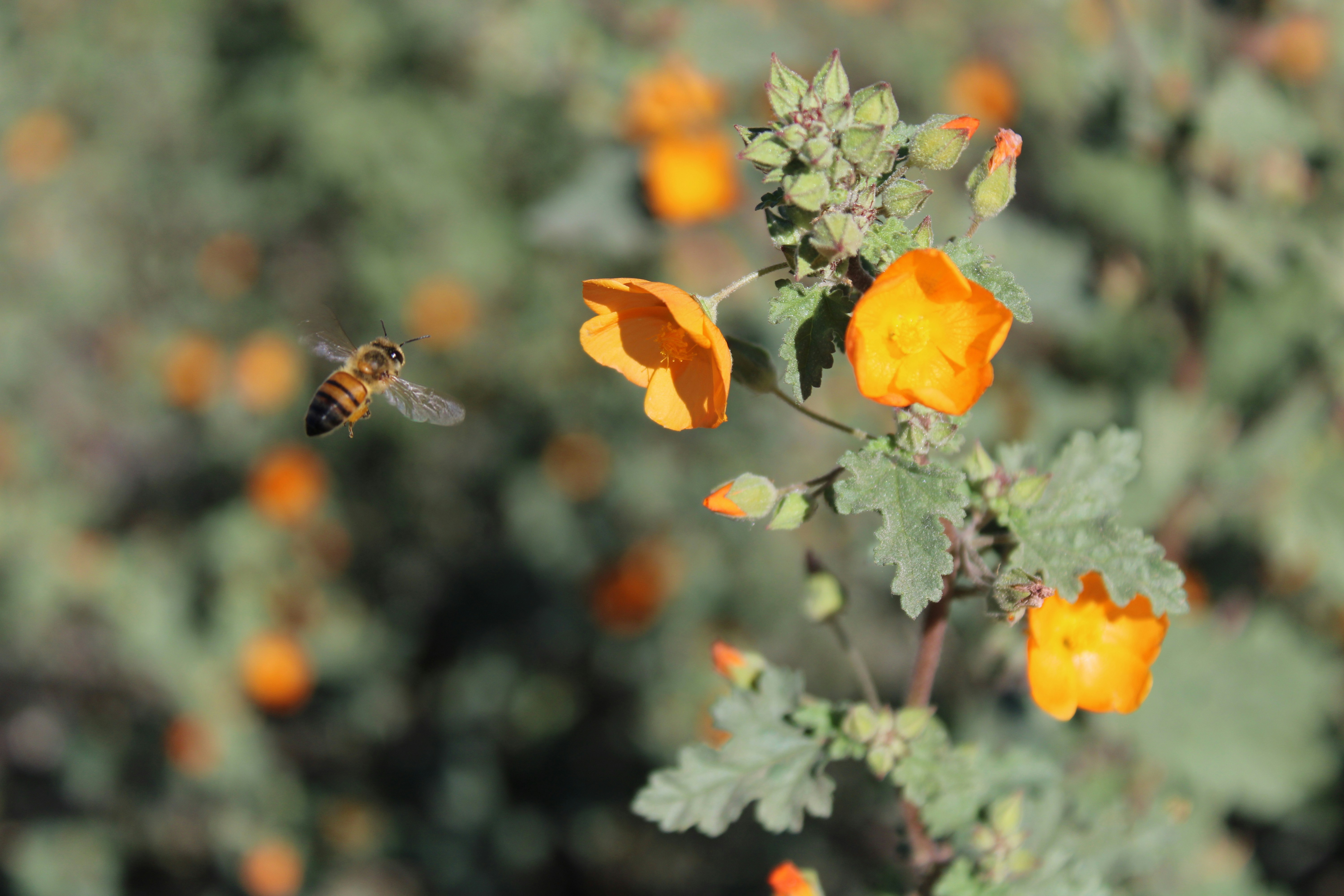 Photo by jhoannacervantes