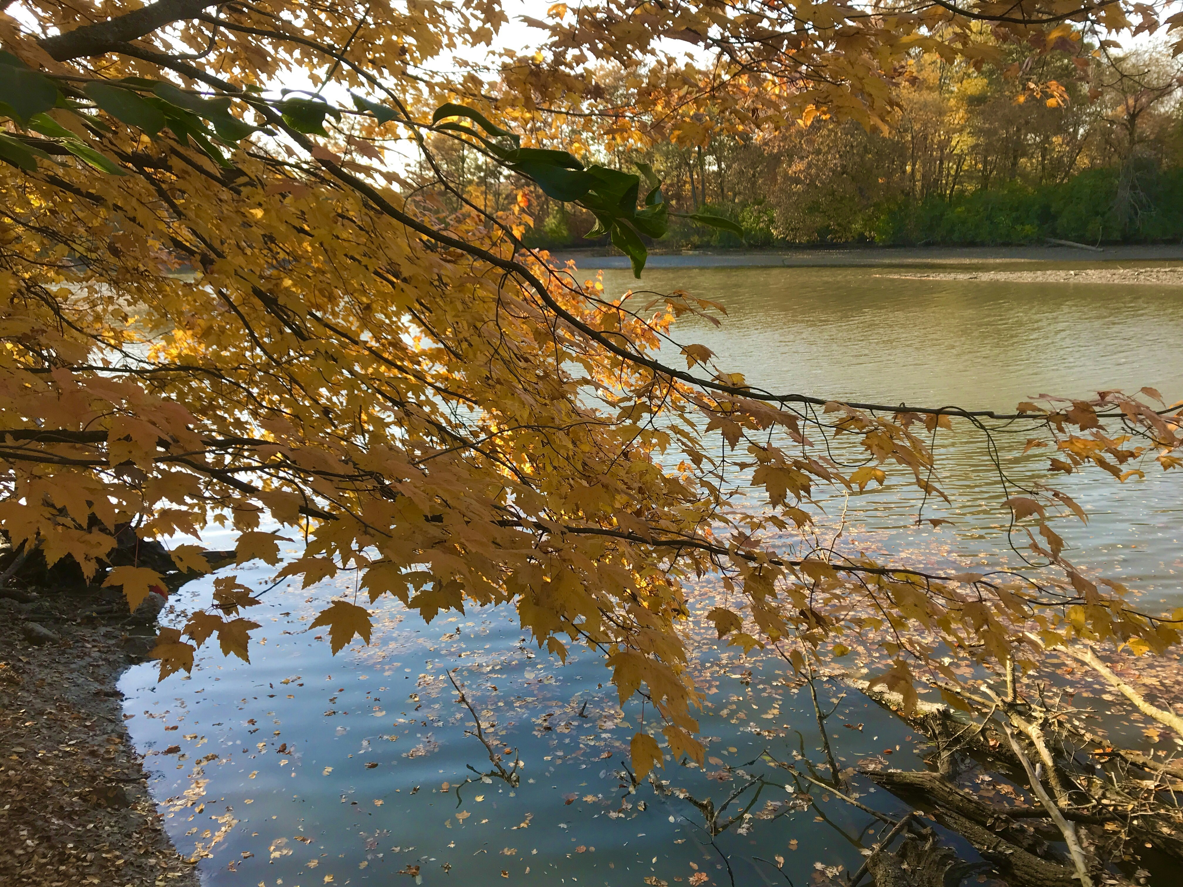 Photo by sayakaganz22