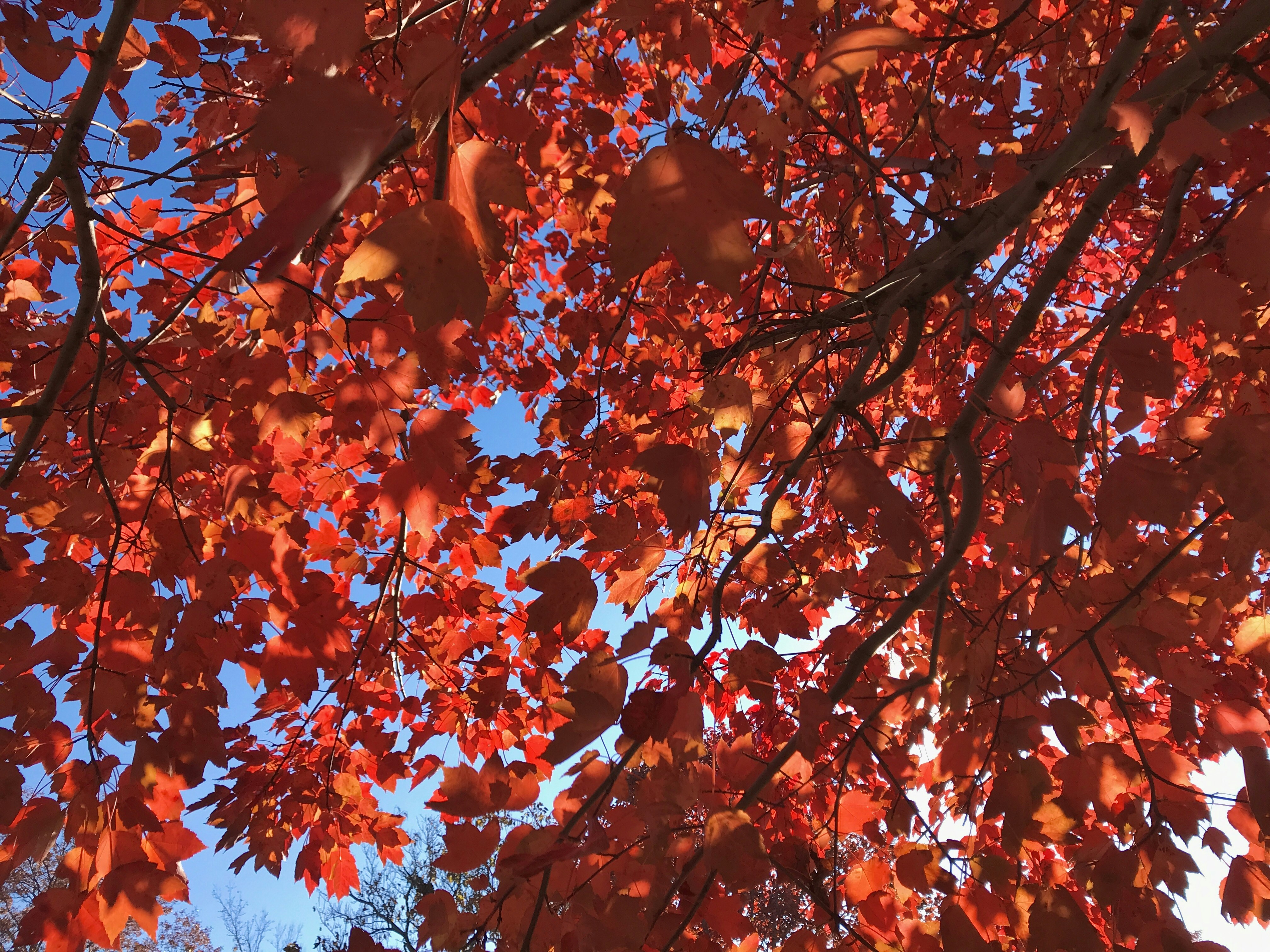 Photo by sayakaganz22