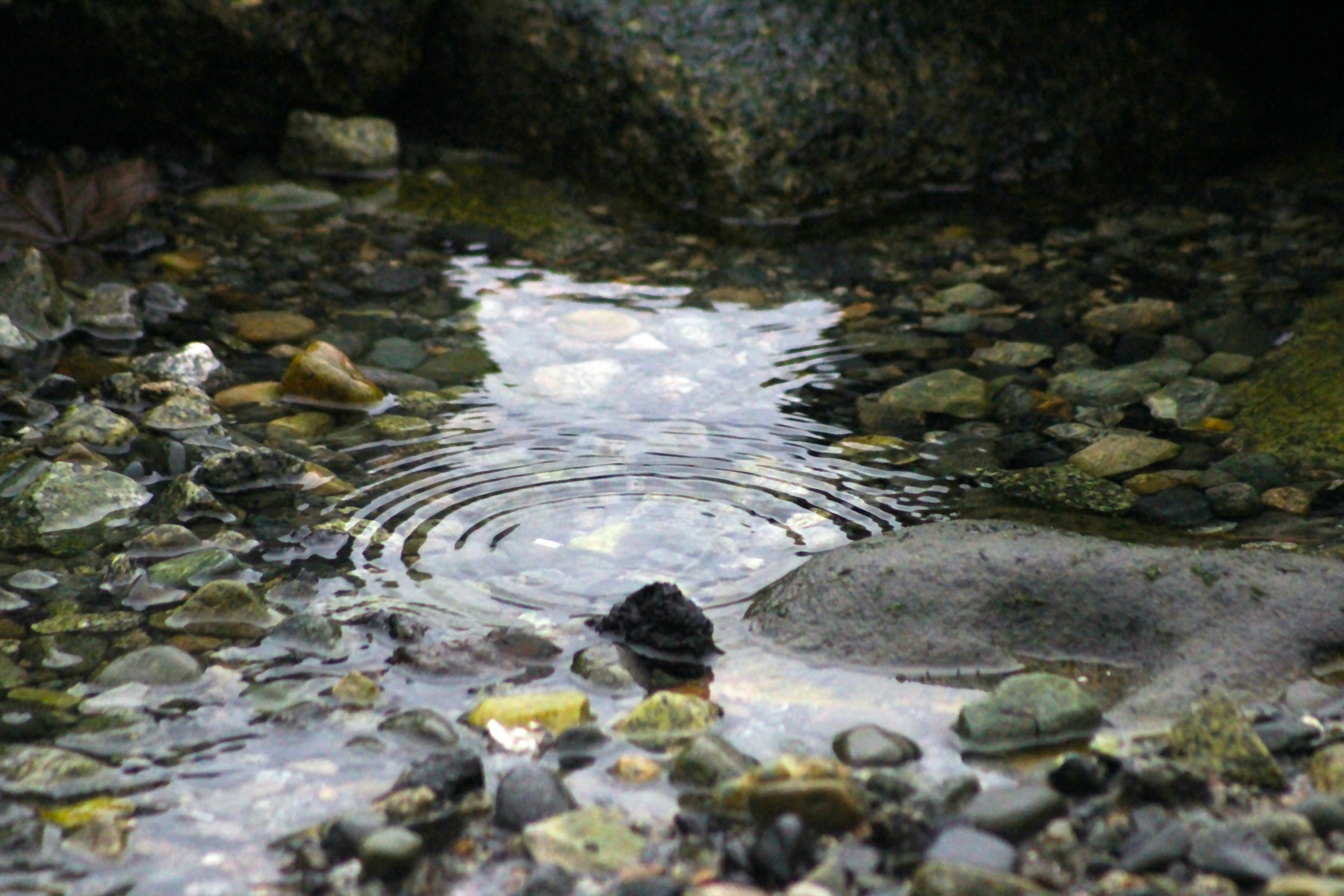 Photo by photoswithgabe