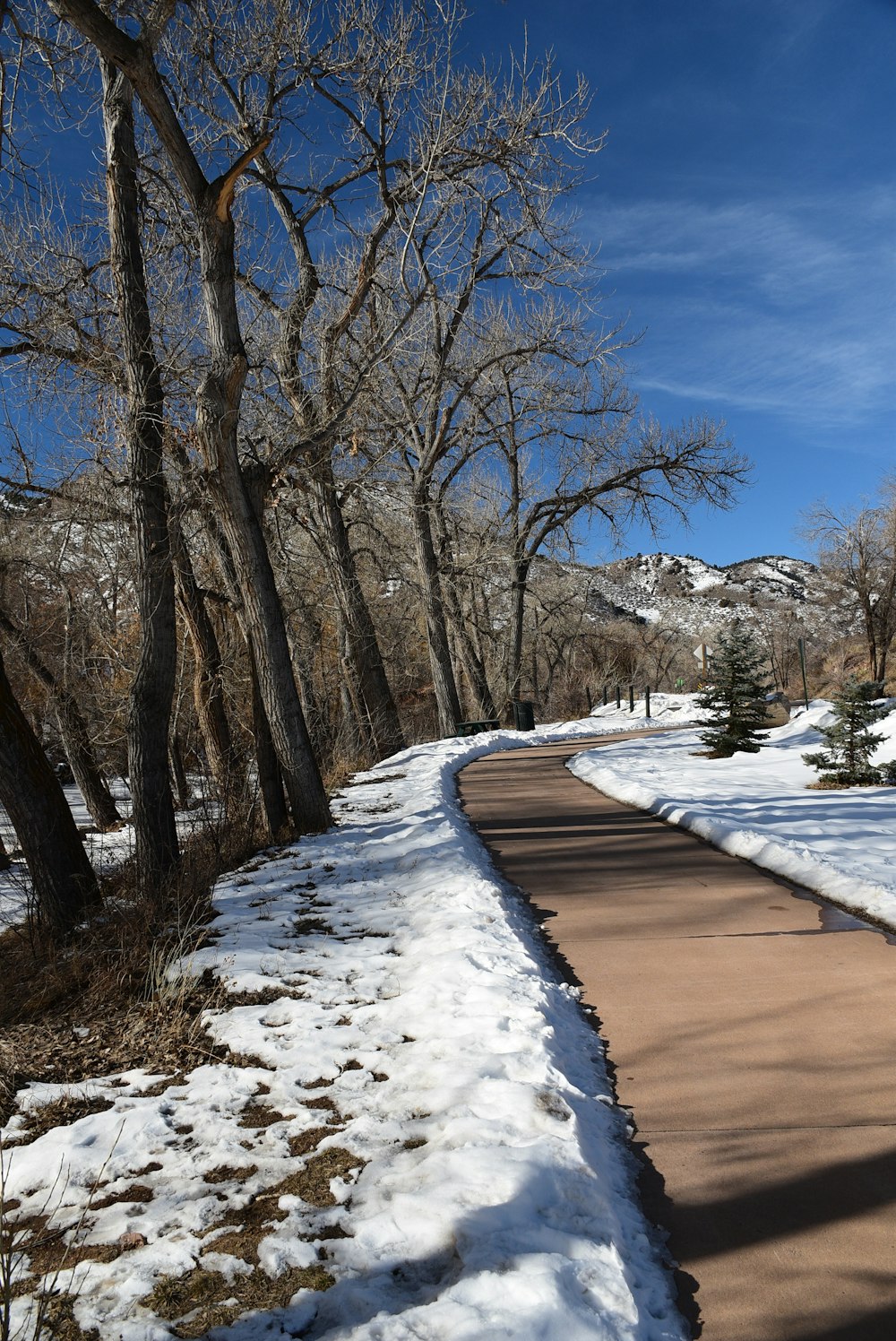 a snow covered path in the middle of a forest