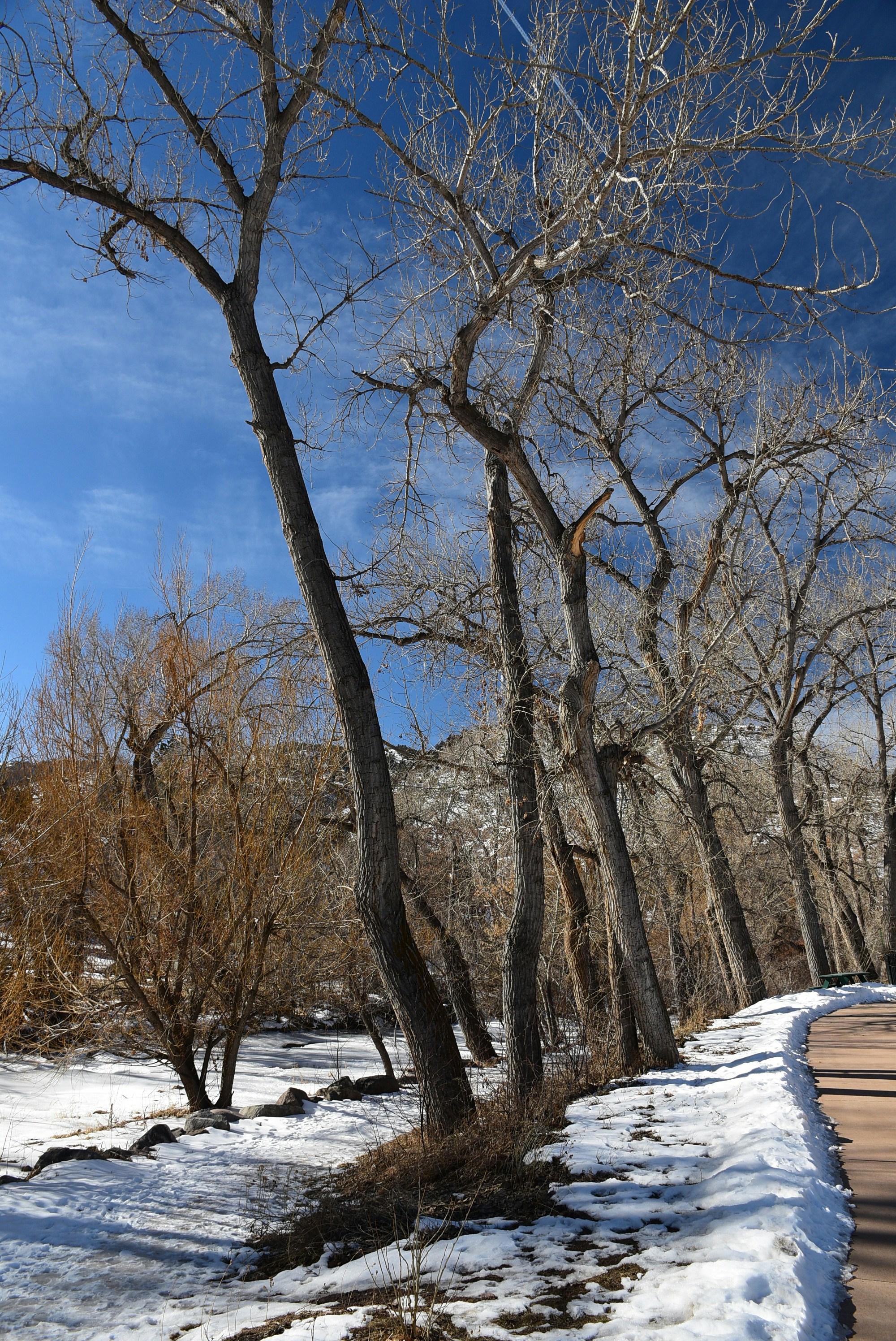 Morrison Knudsen Nature Center