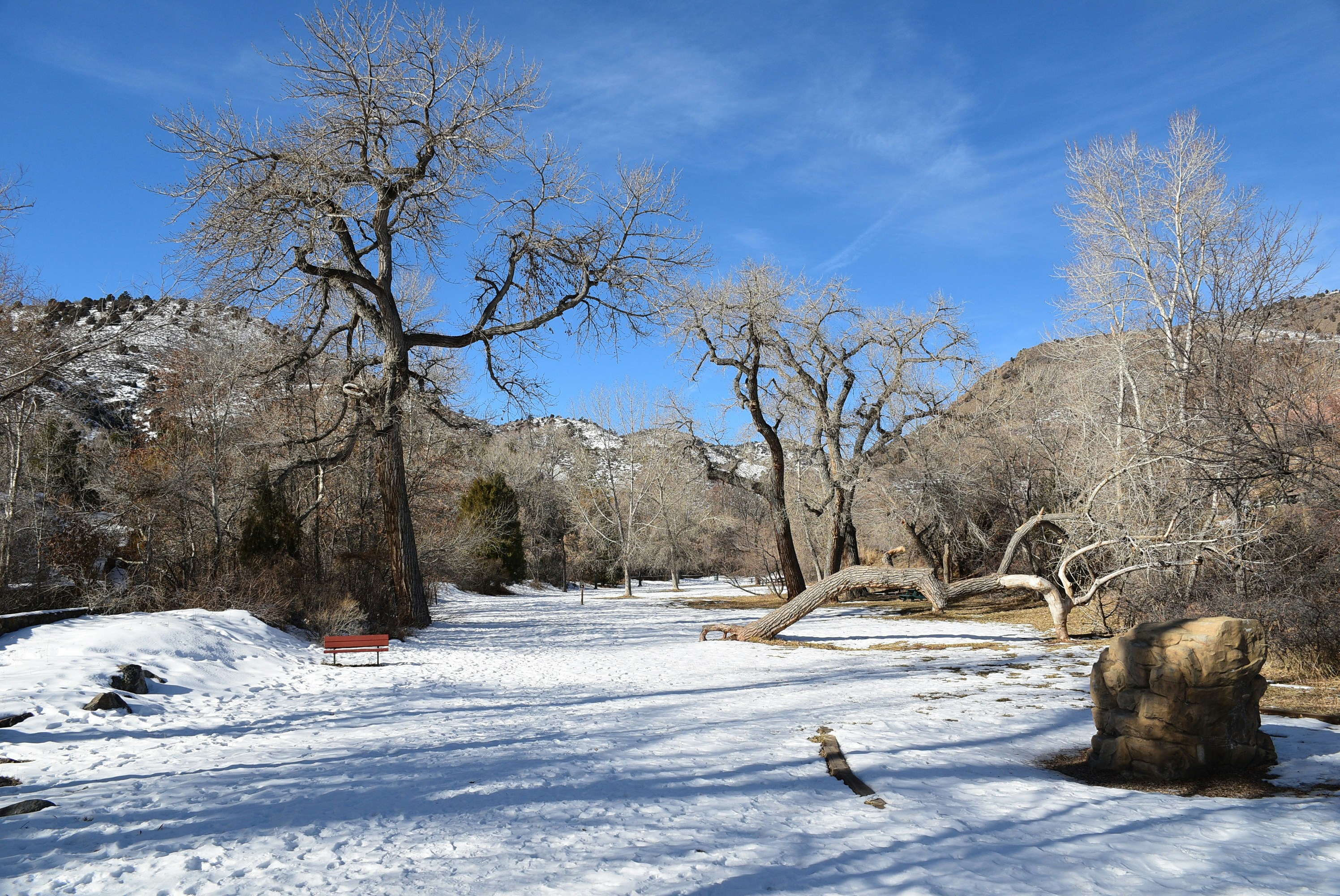 a snow covered field with trees and a bench