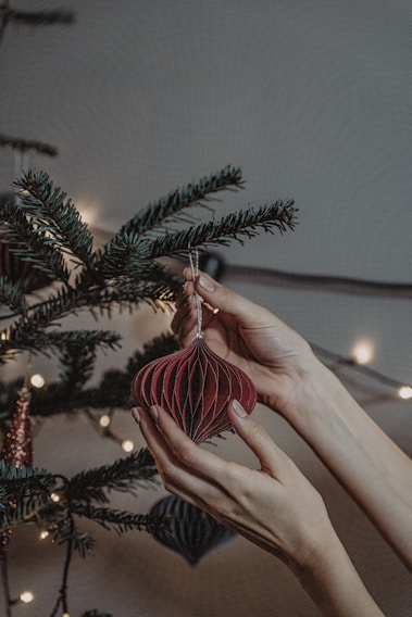 A family carefully hanging colorful ornaments on a lush pine Christmas tree in a cozy living room.