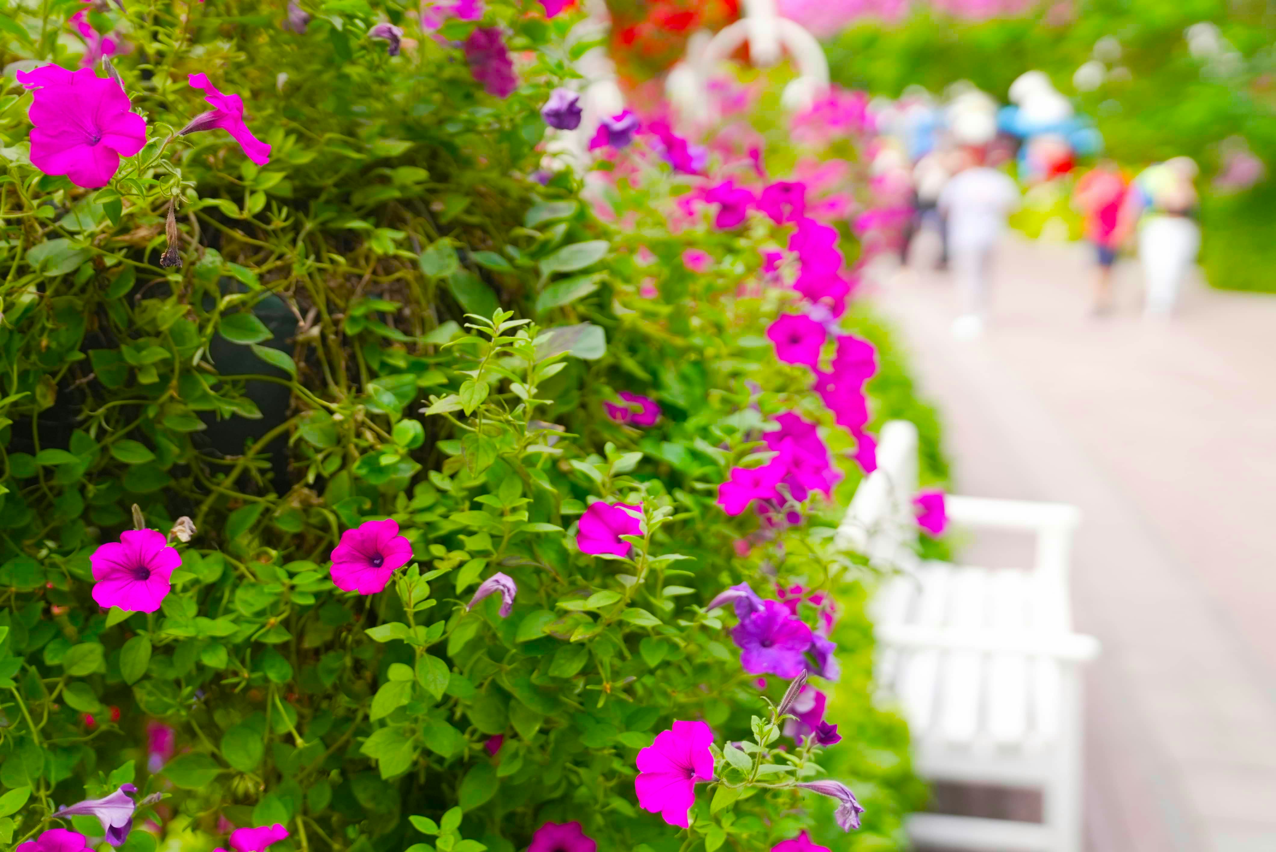 Photo by rafieeartist