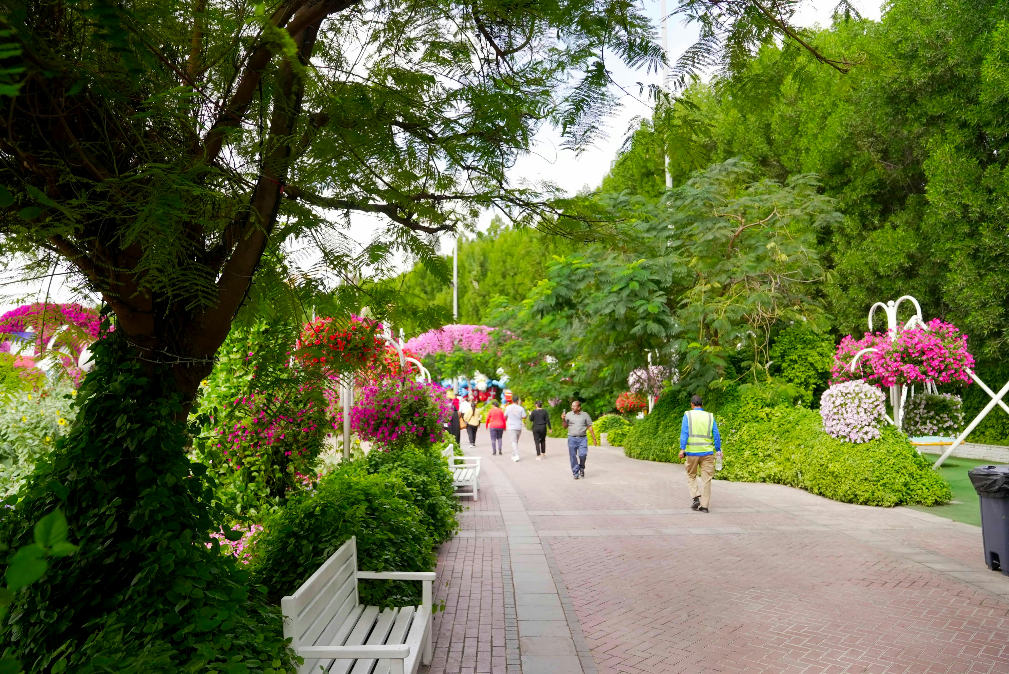 Photo by rafieeartist