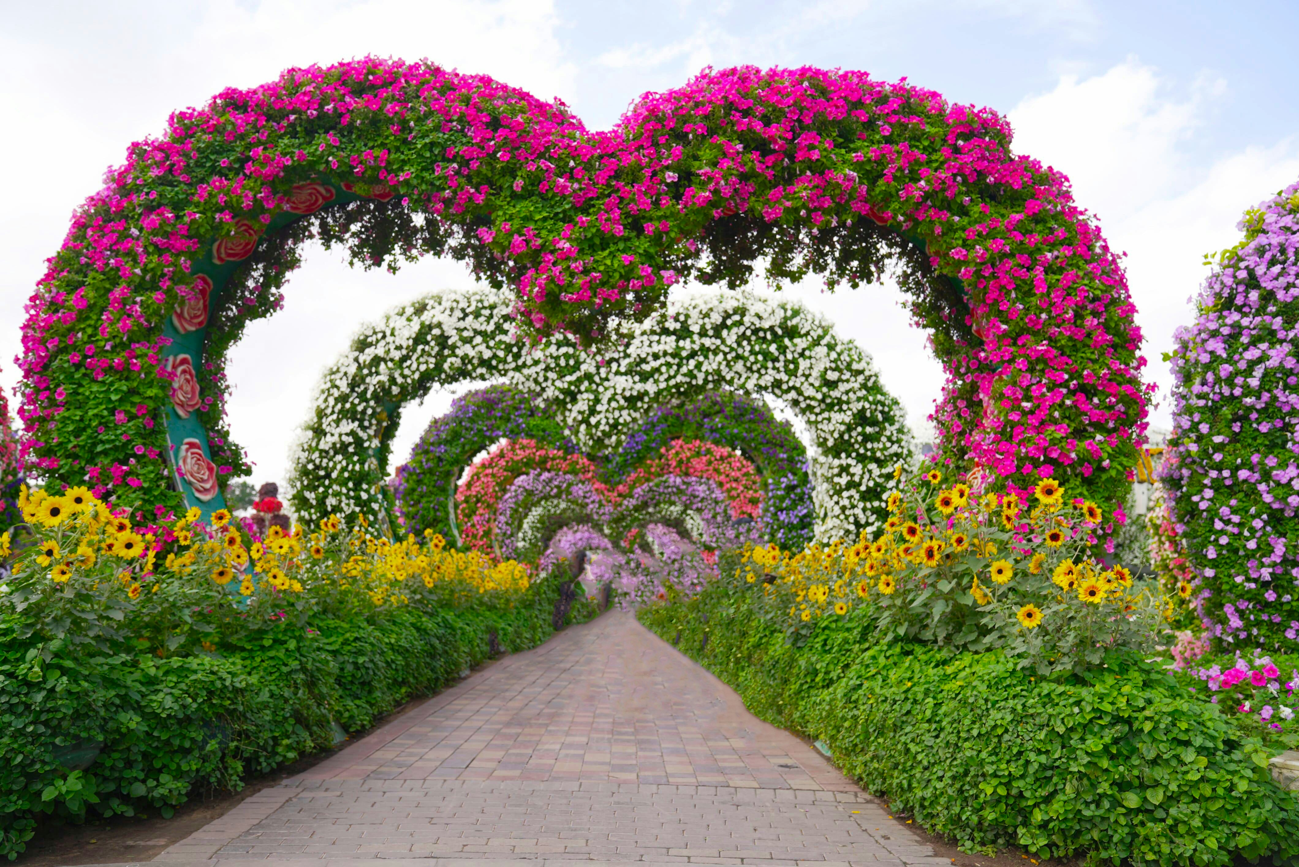 A pathway lined with lots of flowers next to a lush green park photo ...