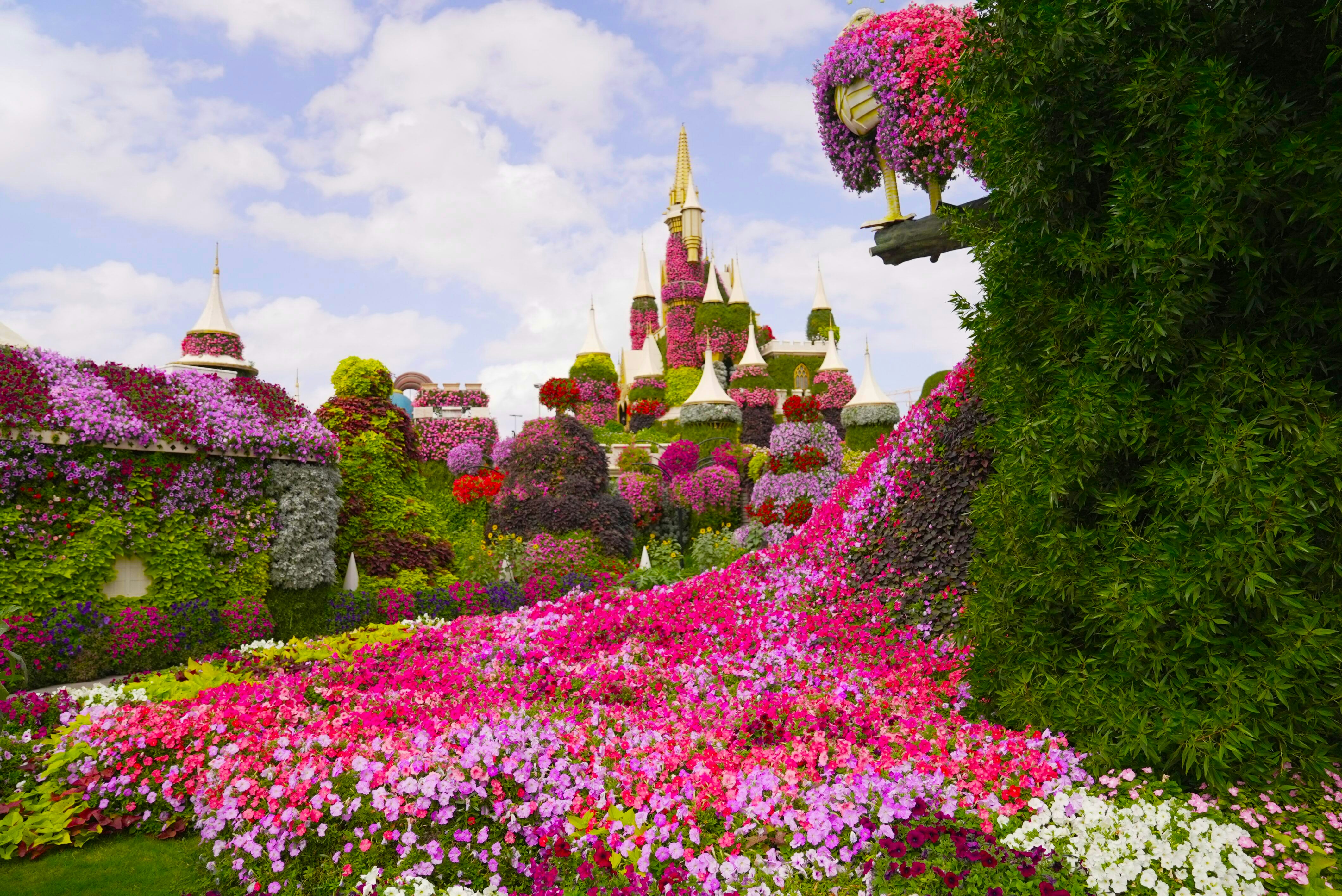 Photo by rafieeartist