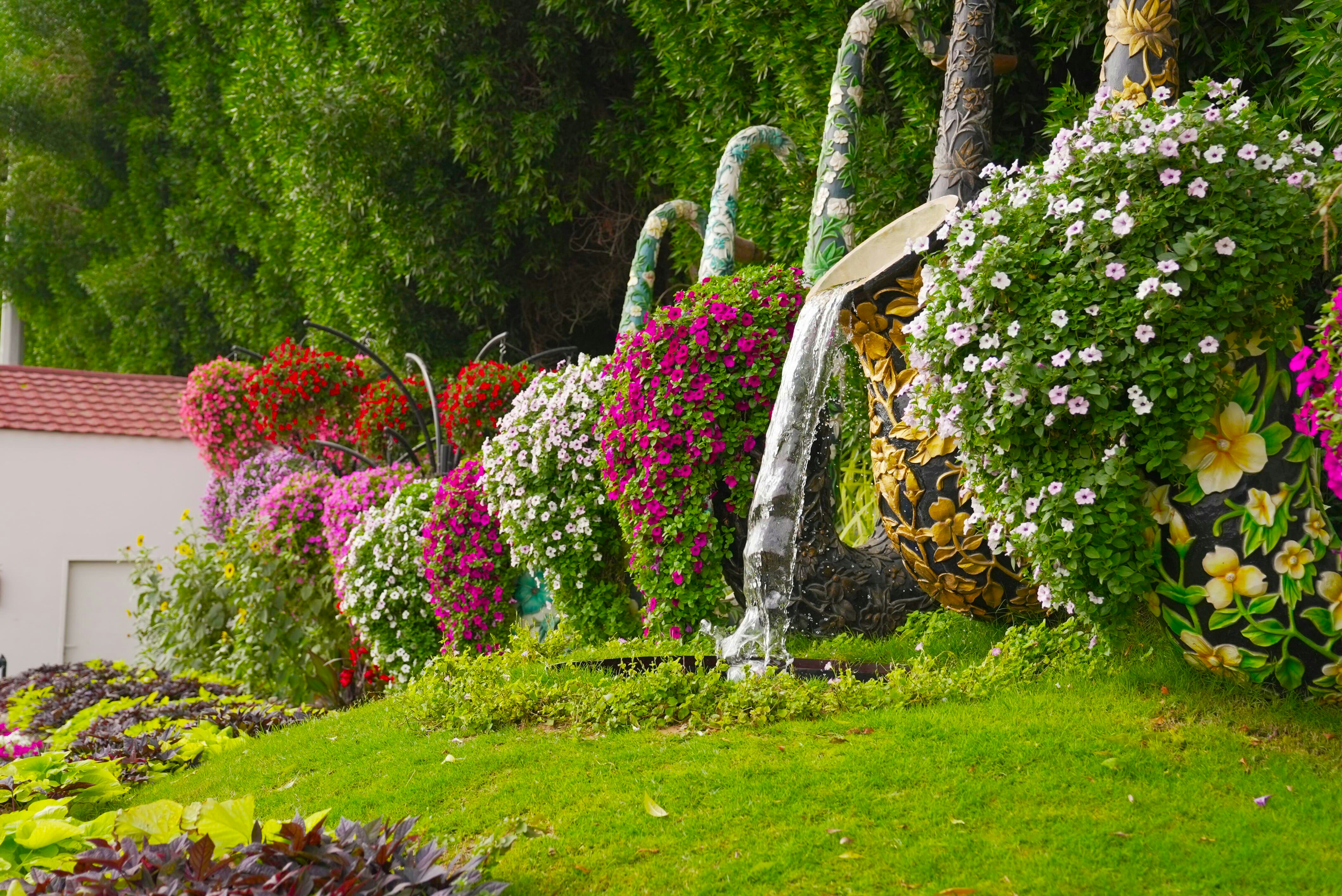 A view of the beautiful flower garden in Dubai