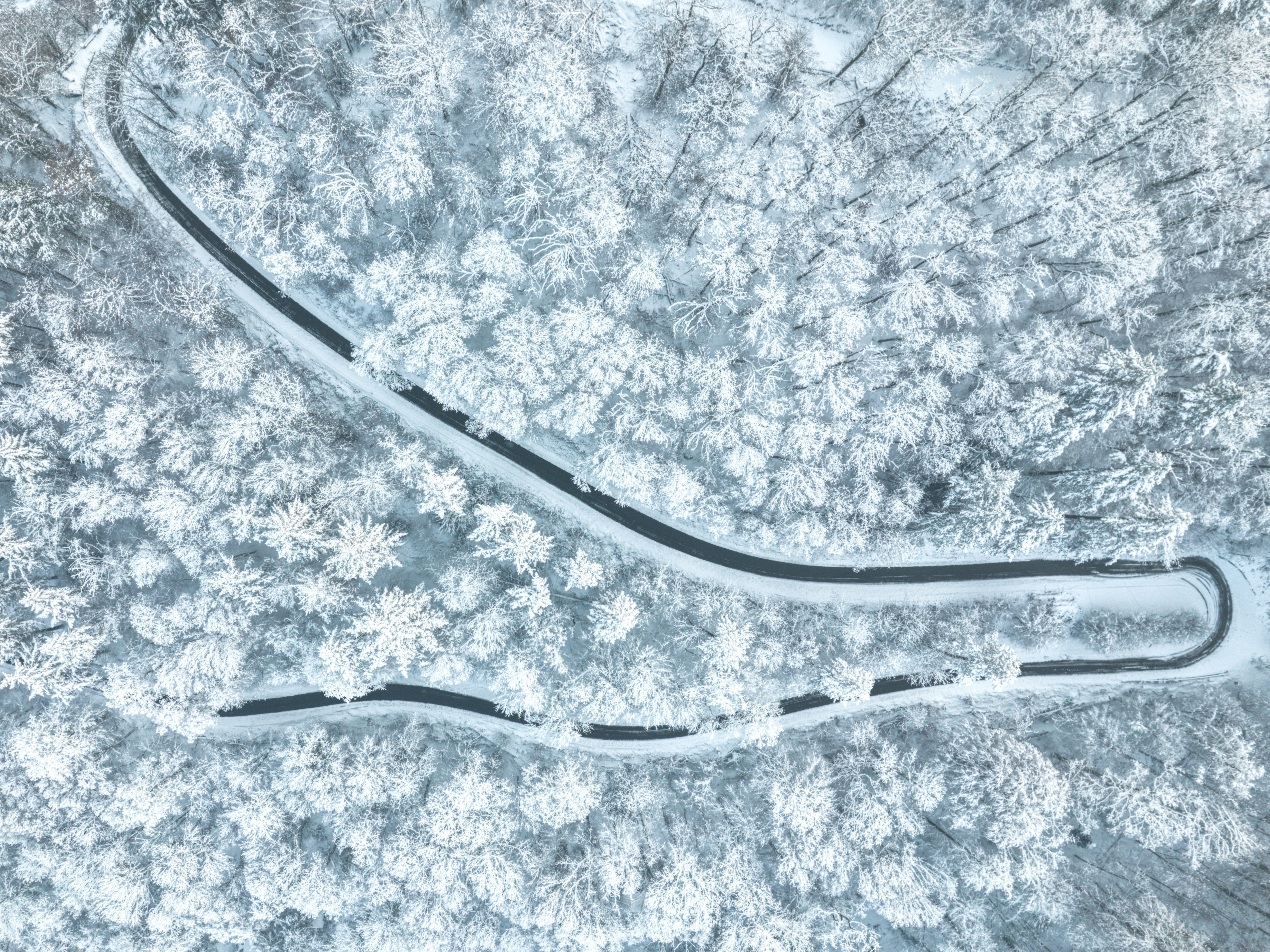 a winding road in the middle of a snow covered forest