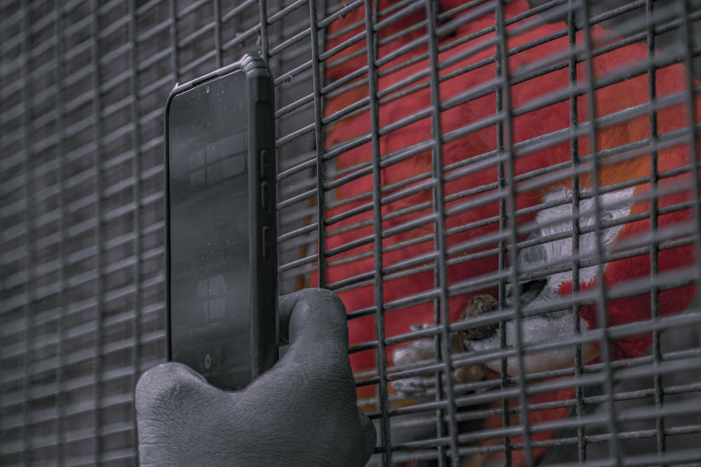 a person holding a cell phone in front of a cage