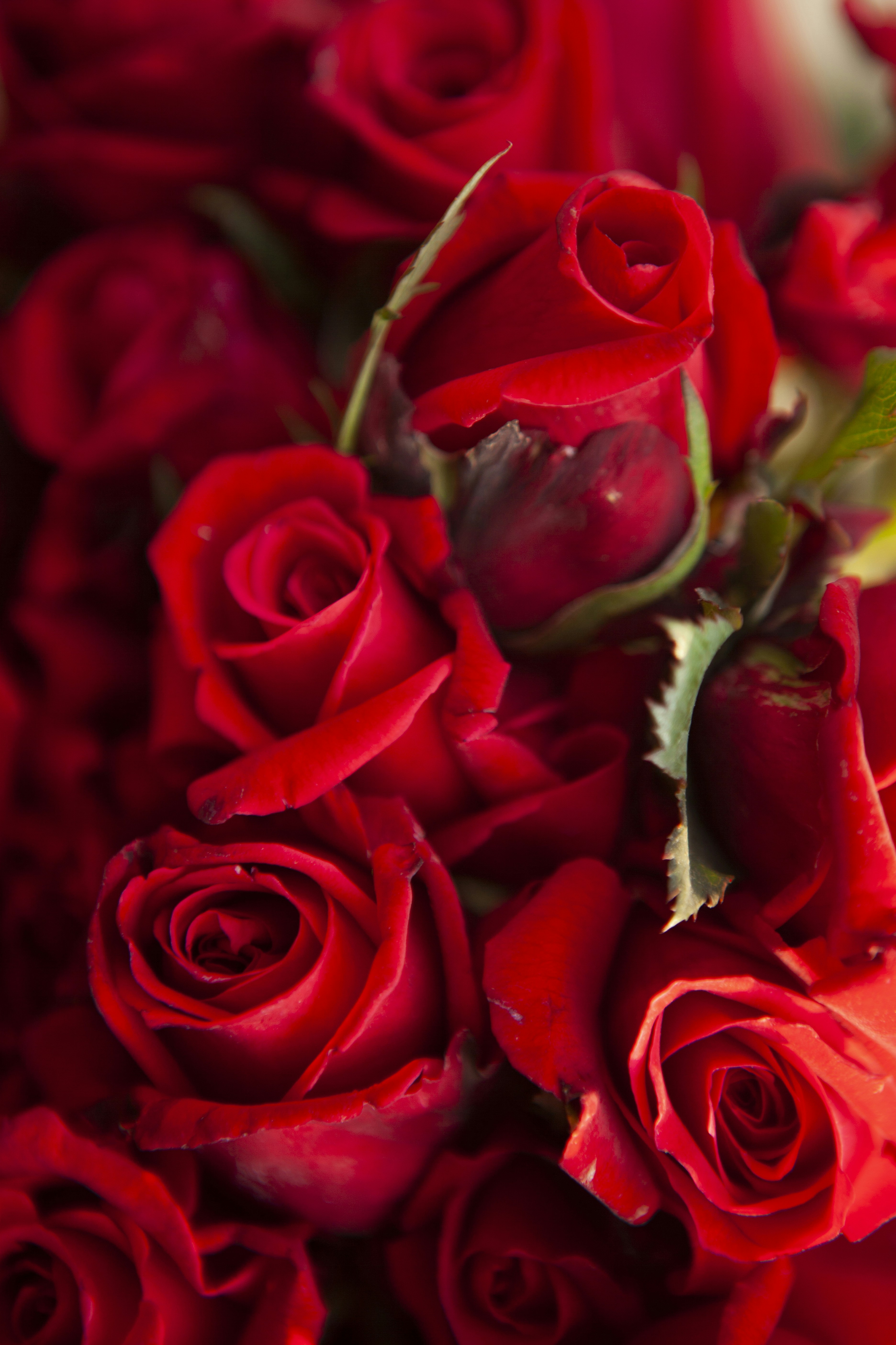 Photo by studiork1982