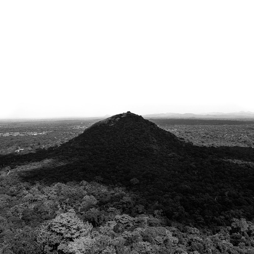 a black and white photo of a hill in the middle of a forest