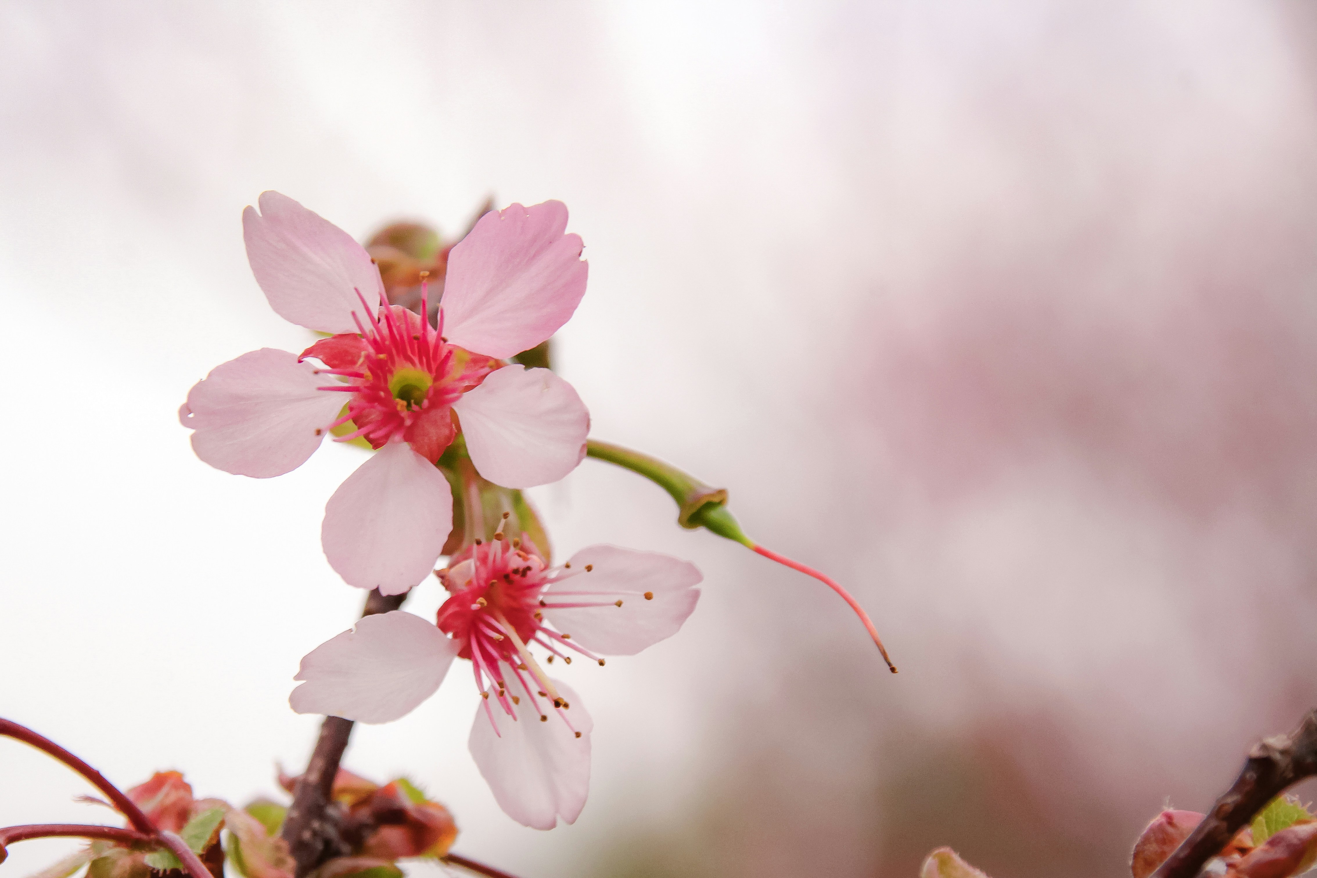 Photo by rickyrynselo