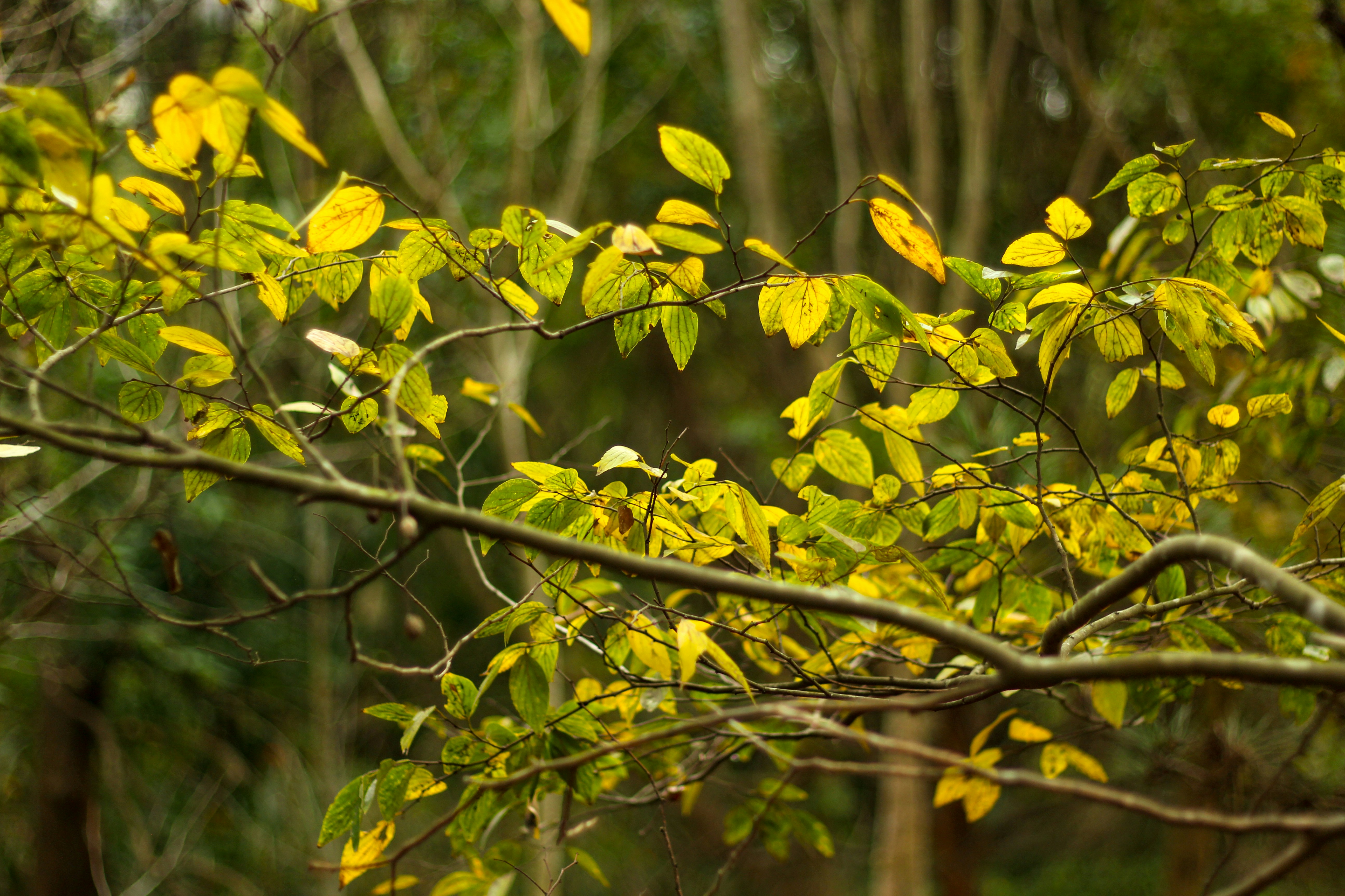 Photo by rickyrynselo