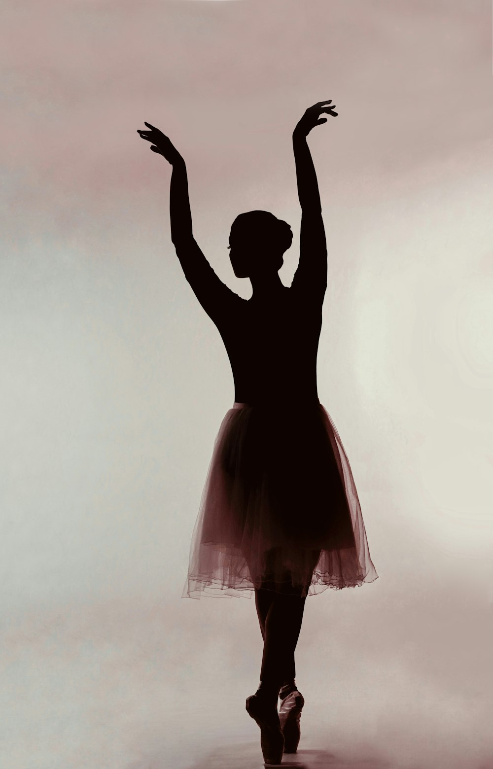 a woman in a tutu is dancing in the air