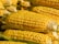 Multiple ears of ripe yellow corn with husks partially peeled back are stacked closely together. The kernels are plump and shiny, indicating freshness.