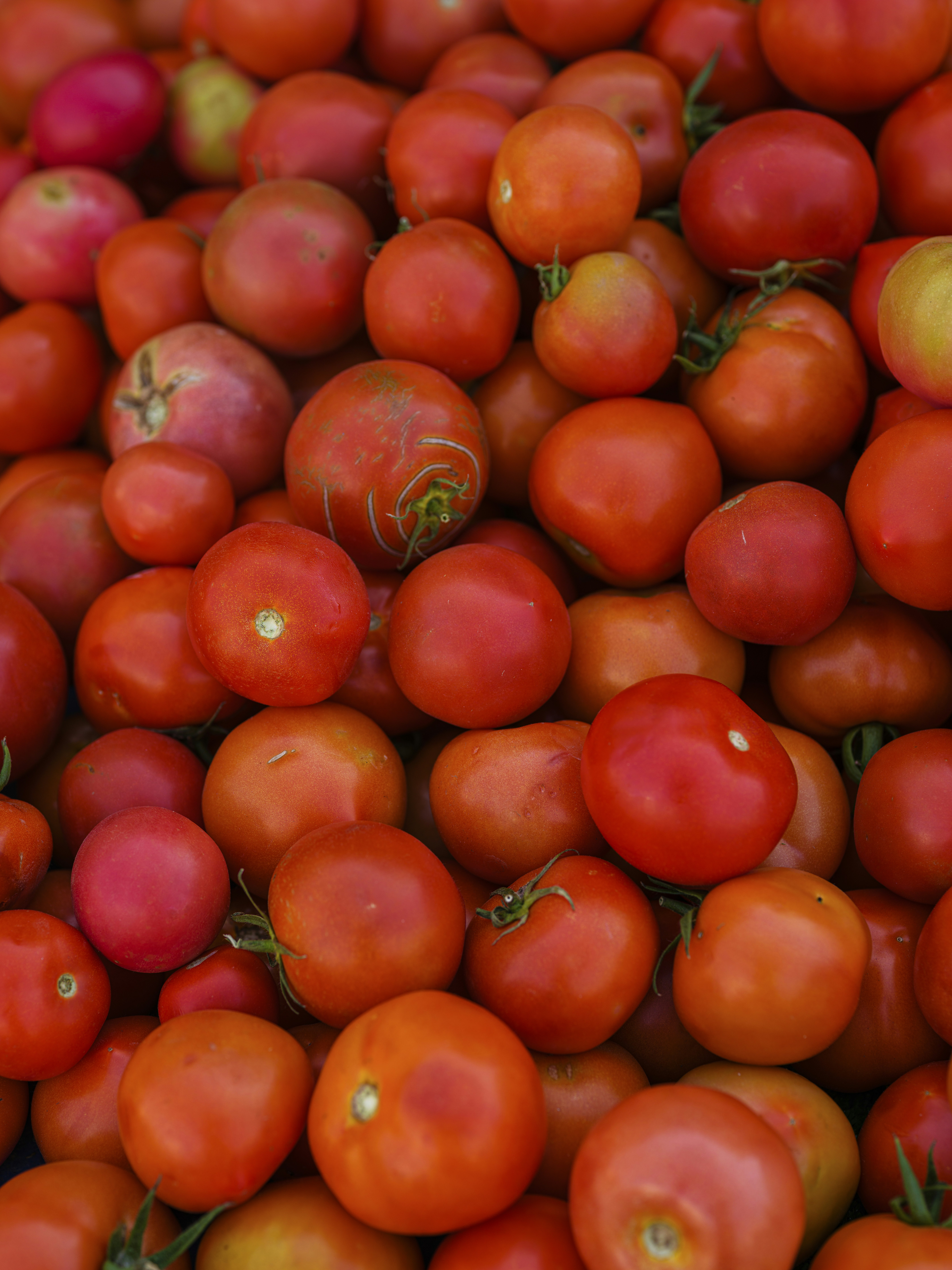 Photo by enginakyurt