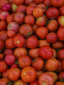 Tomates Fraîches