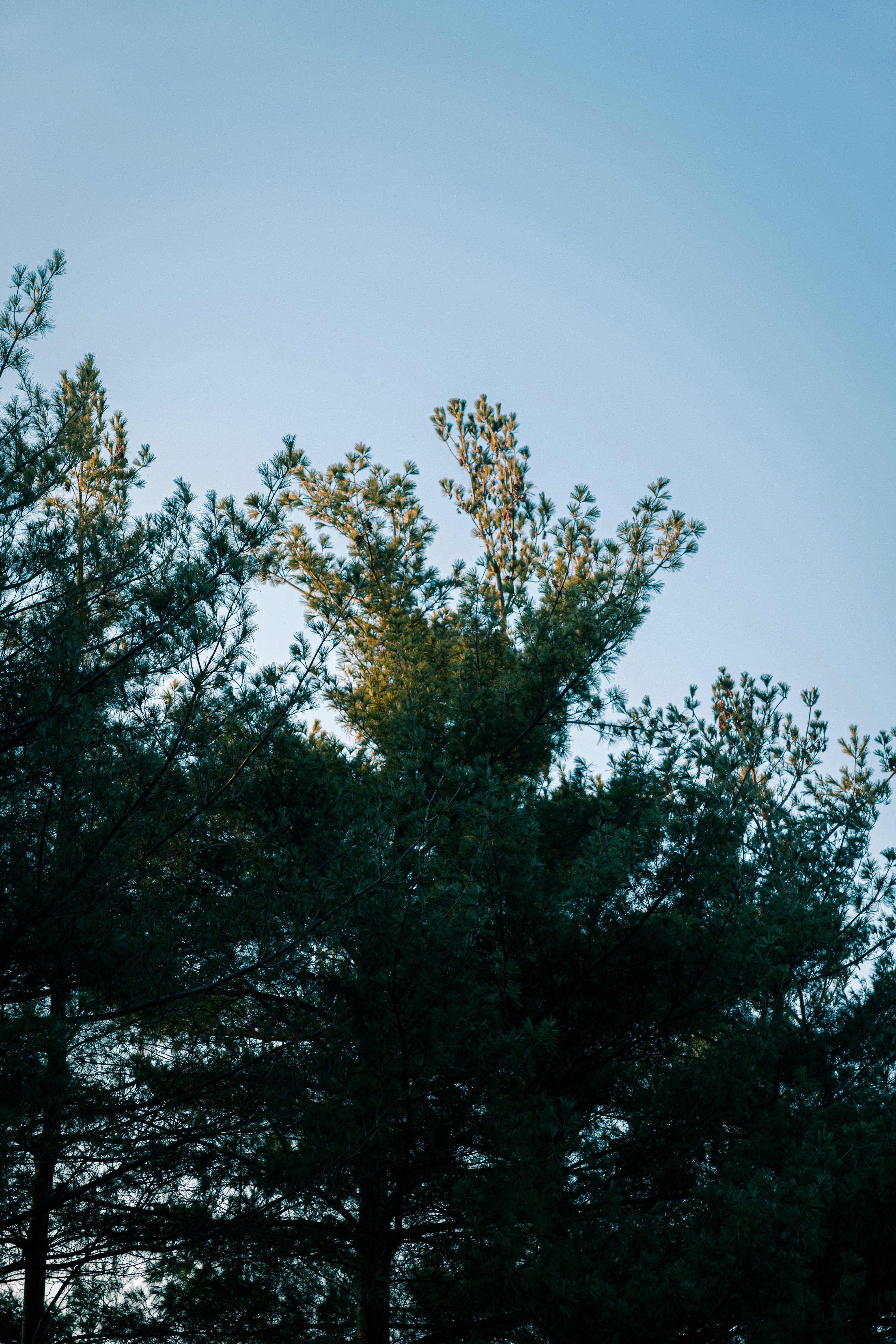 Photo by brother_yoon