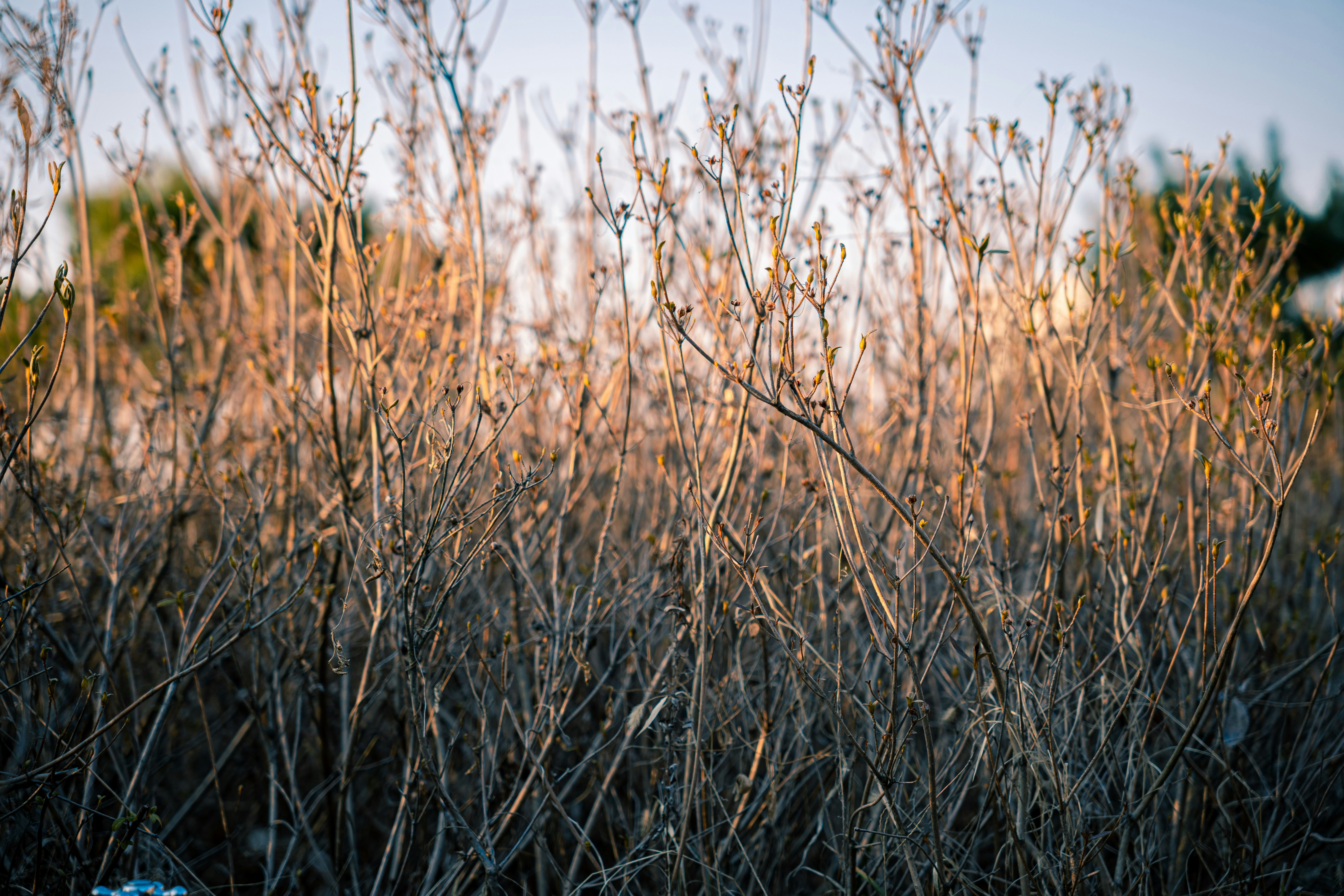 Photo by brother_yoon