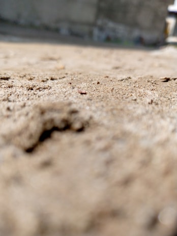 A blurred, abstract photo capturing the textured surface of a brick wall in São Paulo.