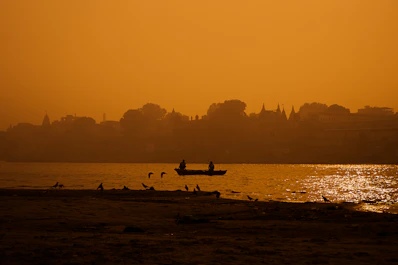 a group of birds sitting on a beach next to a body of water