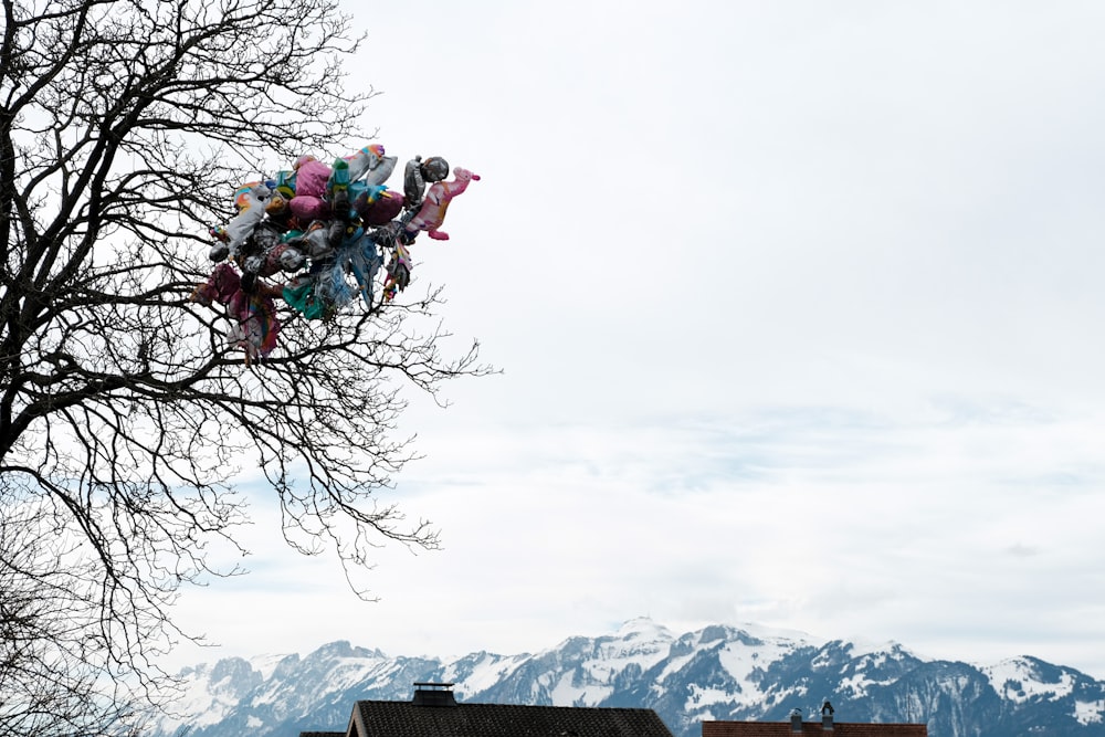 a bunch of stuffed animals hanging from a tree