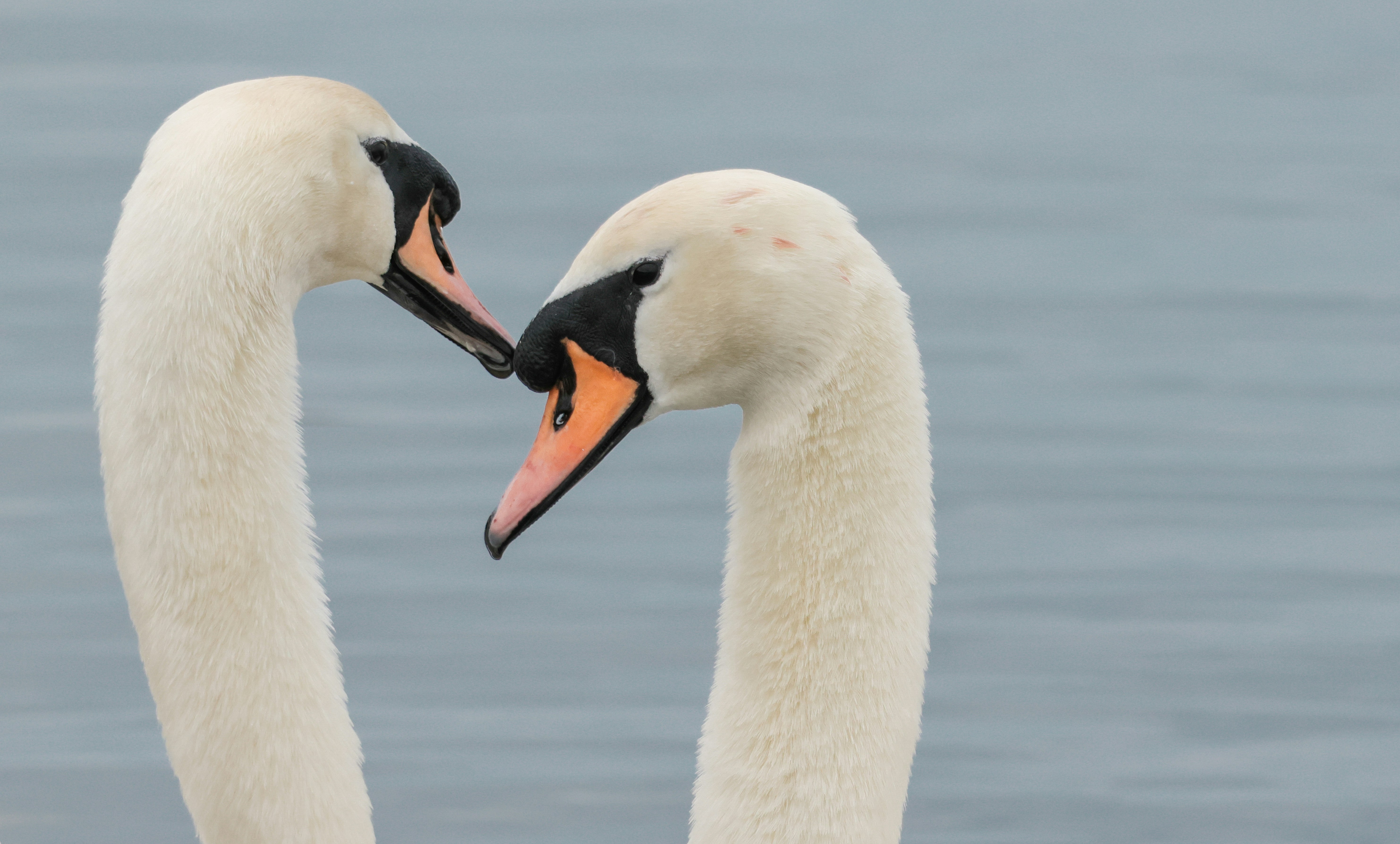 Photo by grievek1610begur