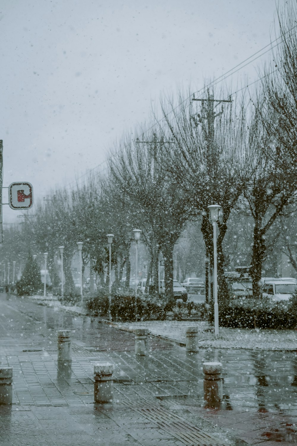 a city street with a traffic light and trees covered in snow