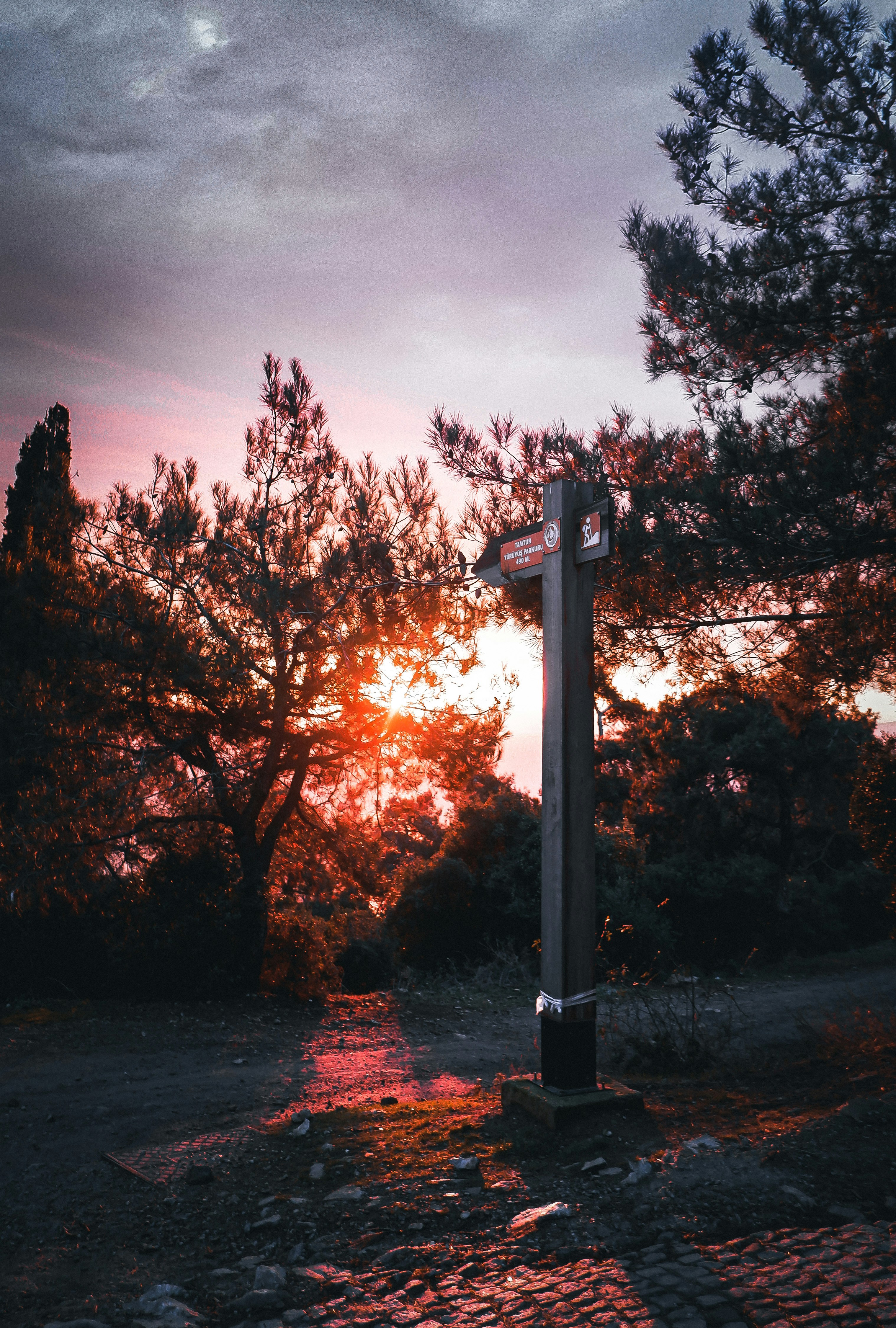 Photo by burakdonertas