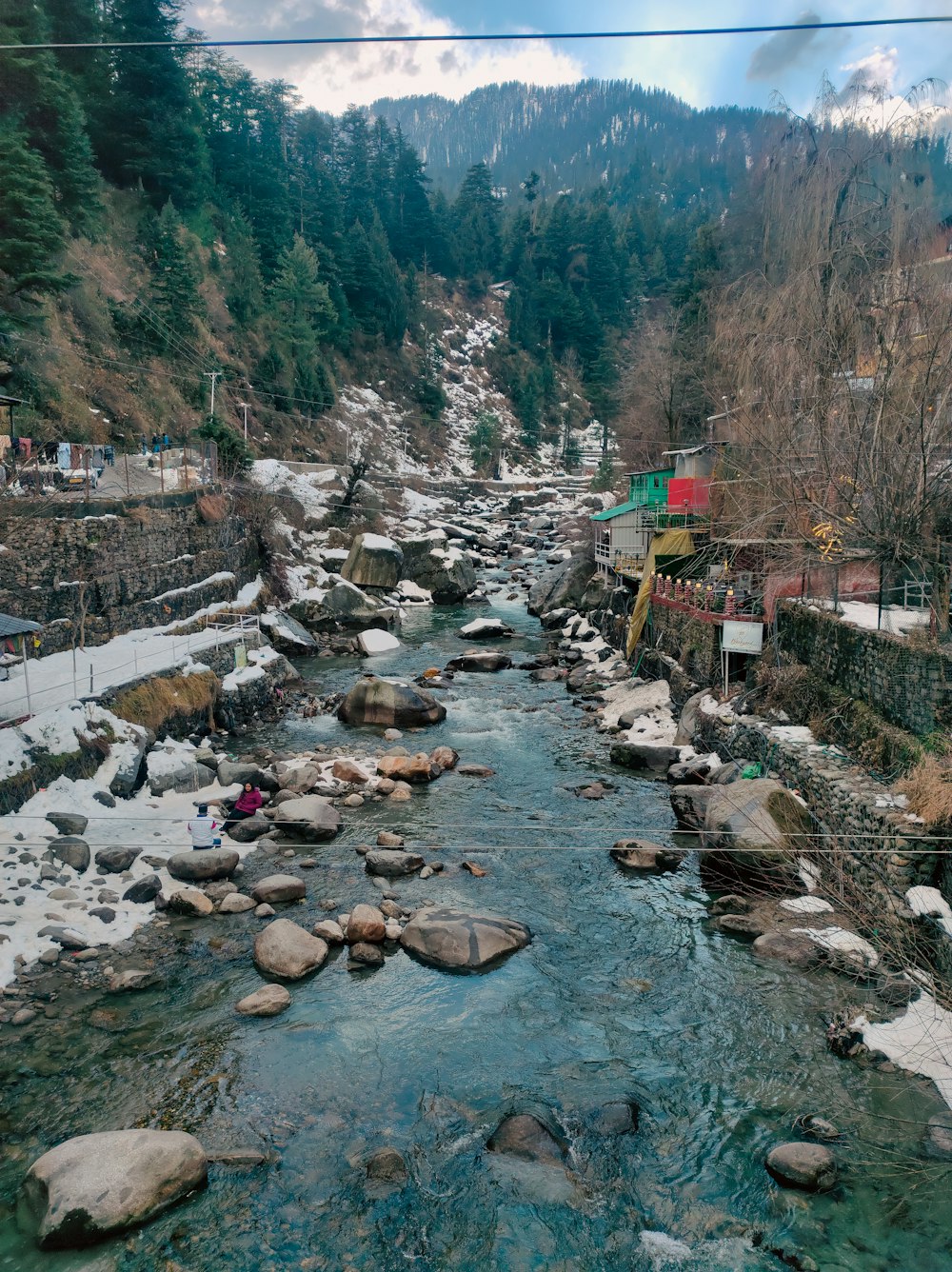 a river running through a lush green forest