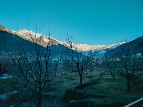 a view of a mountain range with trees in the foreground
